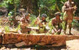 Papua - dobrodružství v Asmatu, CELOROČNĚ ( 6 nocí )