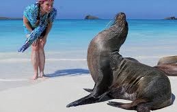 Galapágy
