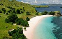 Komodo