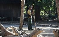 Komodo