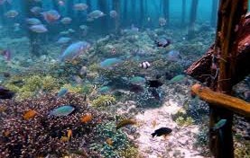 Raja ampat