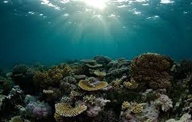 Raja ampat