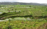 Relax Bali resort, kulturní městečko Ubud a želví ostrovy Gili 