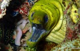 Národní park Komodo, Safari Lady Denok, CELOROČNĚ, 7 dní 6 nocí