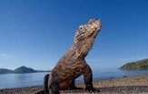 Národní park Komodo, Safari Maestro Aldo, CELOROČNĚ, 7 dní 6 nocí