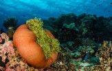 Raja Ampat od severu až k ostrovu Wayang 