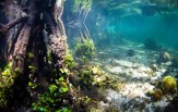 Raja Ampat od severu až k ostrovu Wayang 