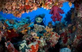 Raja Ampat od severu až k ostrovu Wayang ( 7. - 15.3.2018,8 nocí )
