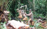 Papua - dobrodružství v Asmatu, CELOROČNĚ ( 6 nocí )