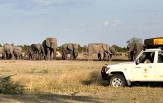 Botswana - delta Okawango - Moremi -Chobe 2024