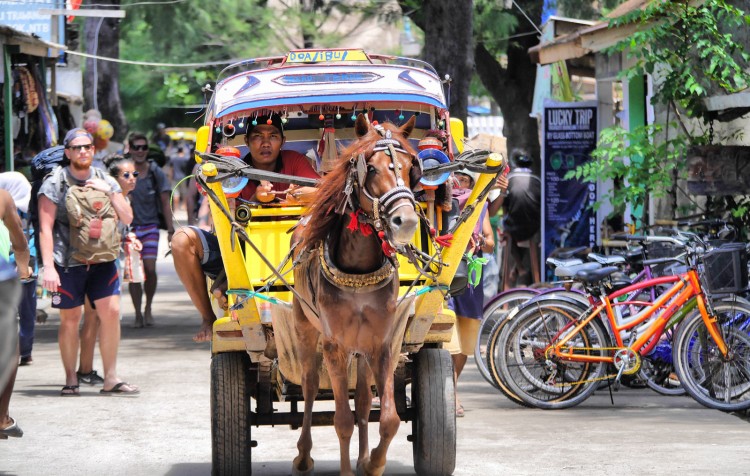 CELOROČNĚ Ostrov Lombok, želví ostrovy Gili, resort Relax Bali a kulturní městečko Ubud 