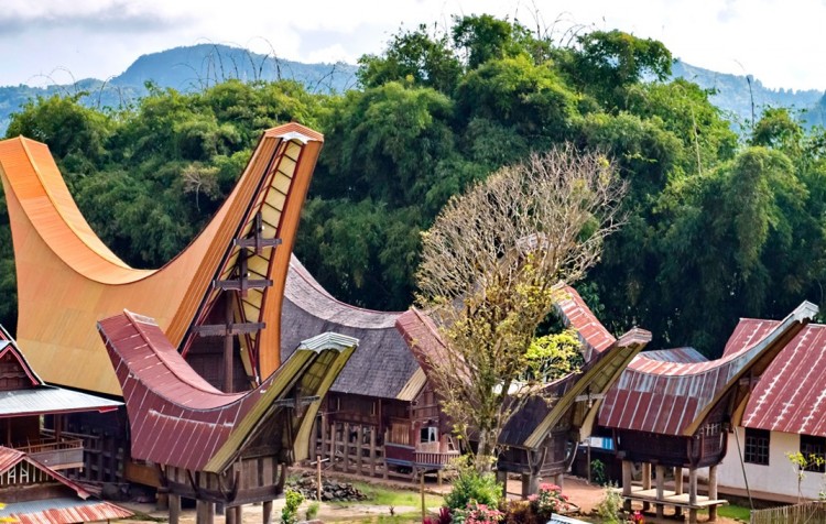 Sulawesi Toraja, CELOROČNĚ ( 4 noci ) 